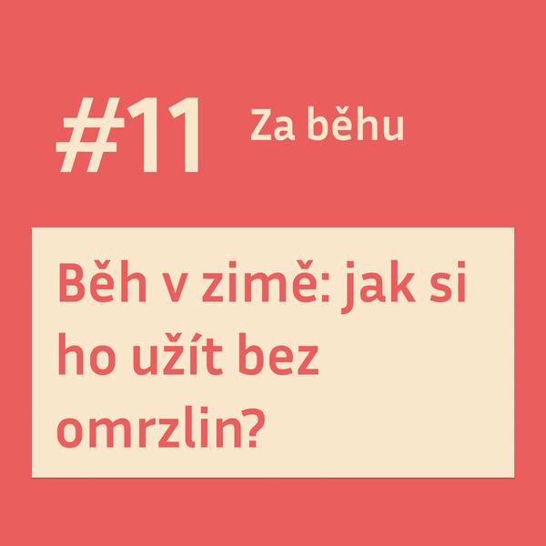 Za běhu